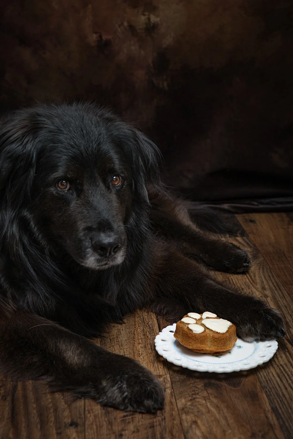 (c)2018-KimSayre-AP-Teddy-03.jpg
