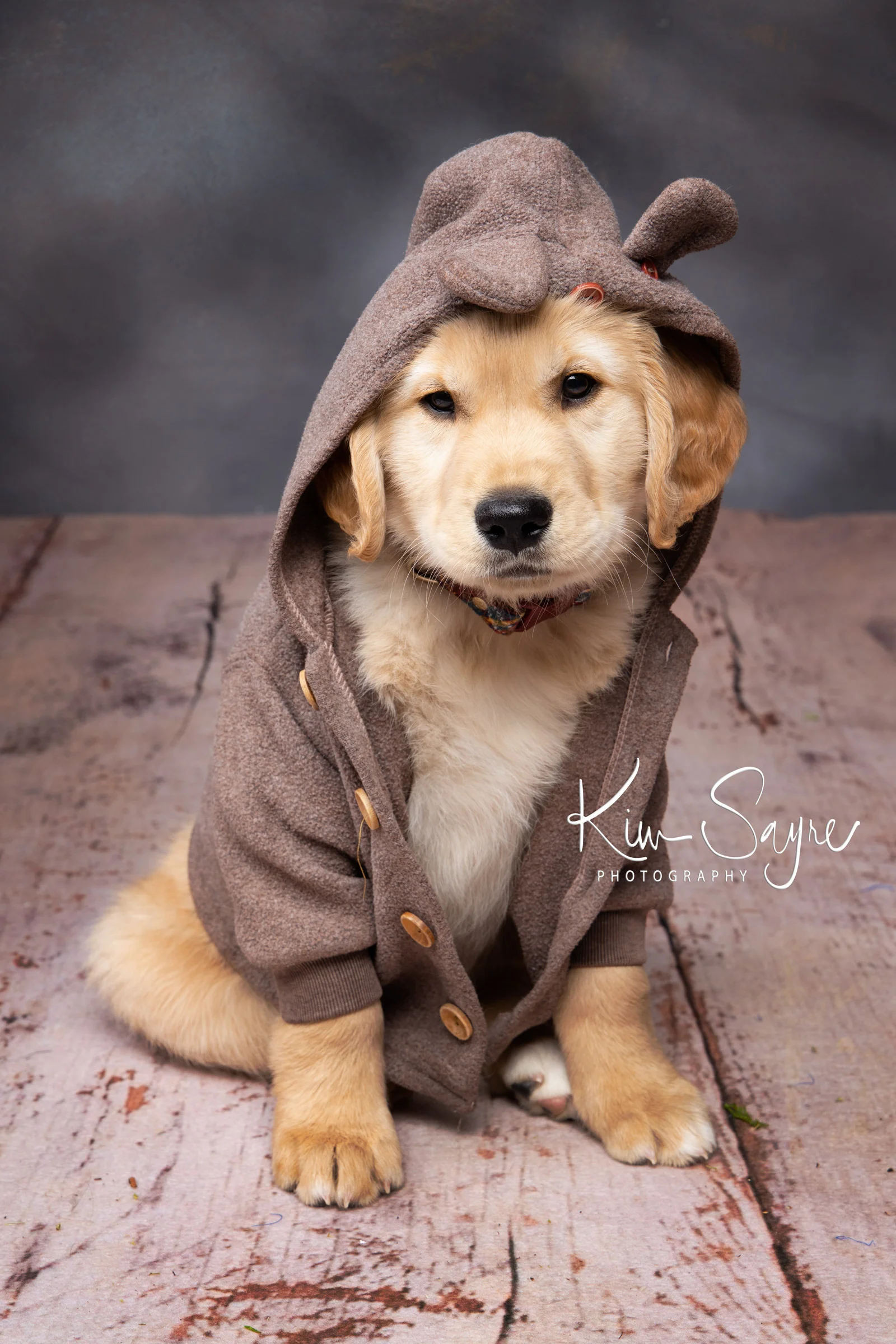 (c)2019-Kim-Sayre-SIT-McLaughlin-006.jpg