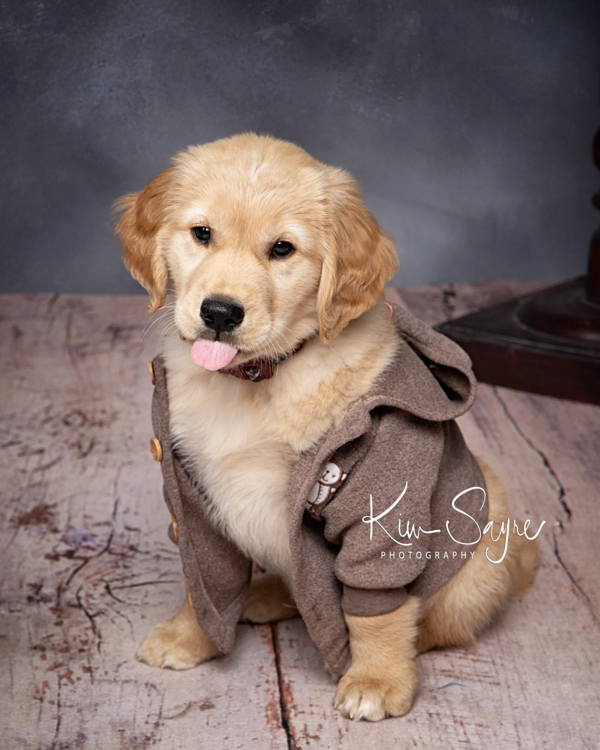 (c)2019-Kim-Sayre-SIT-McLaughlin-005.jpg