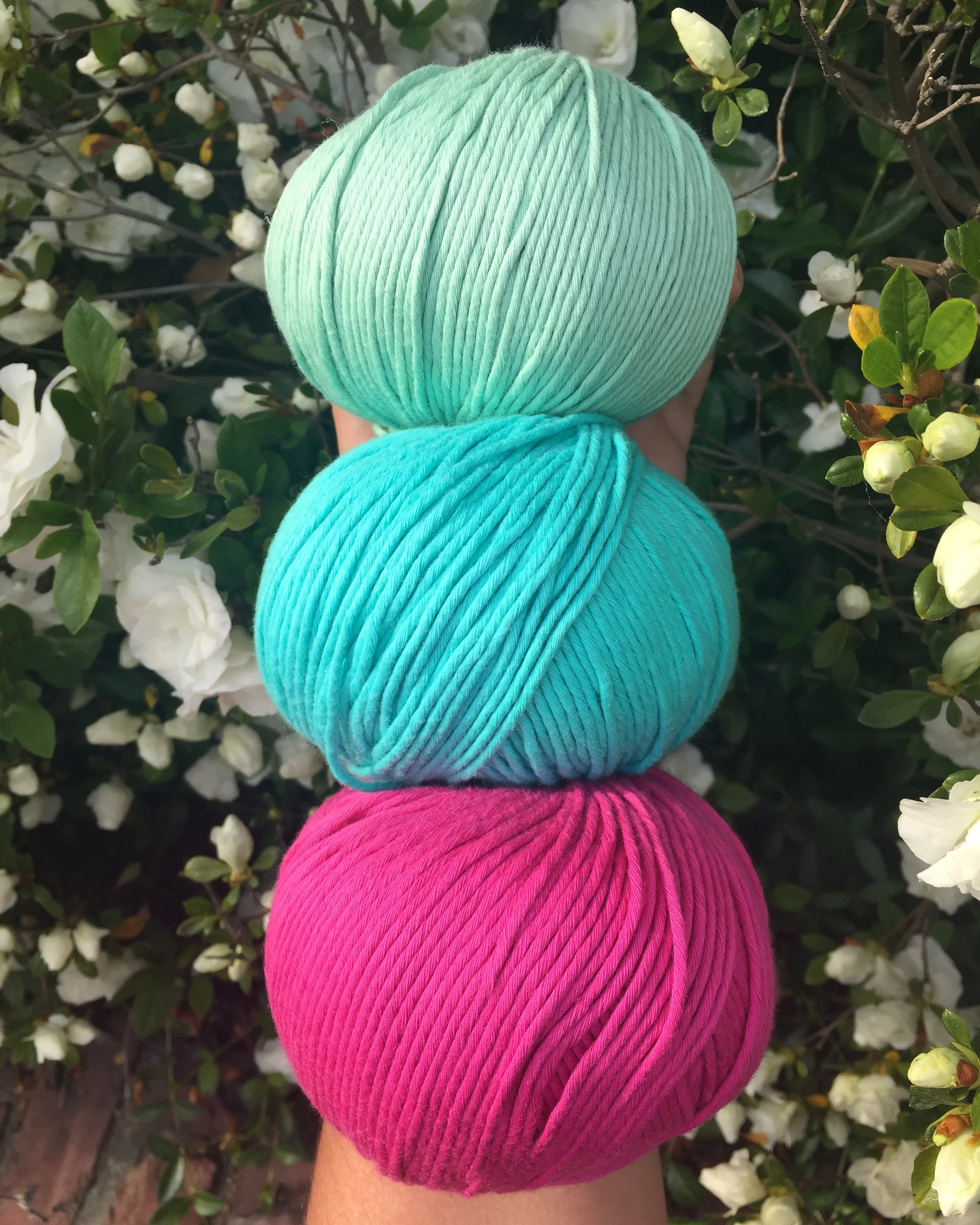 A Yarn Adventure in Washington, D.C.