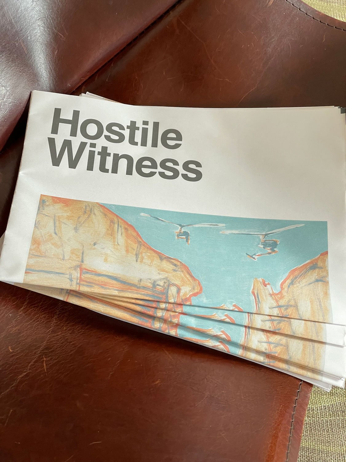 Hostile Witness Zine Combo Pack Issues 1 & 2