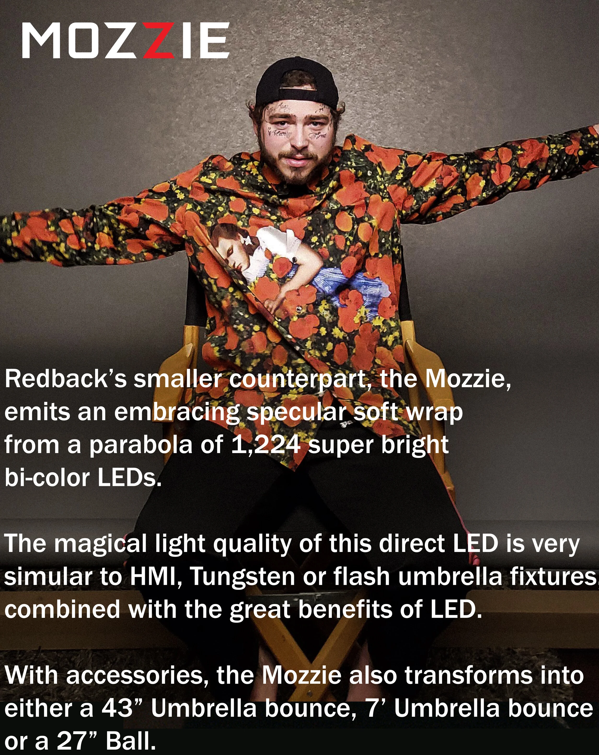 lander mozzie22.jpg