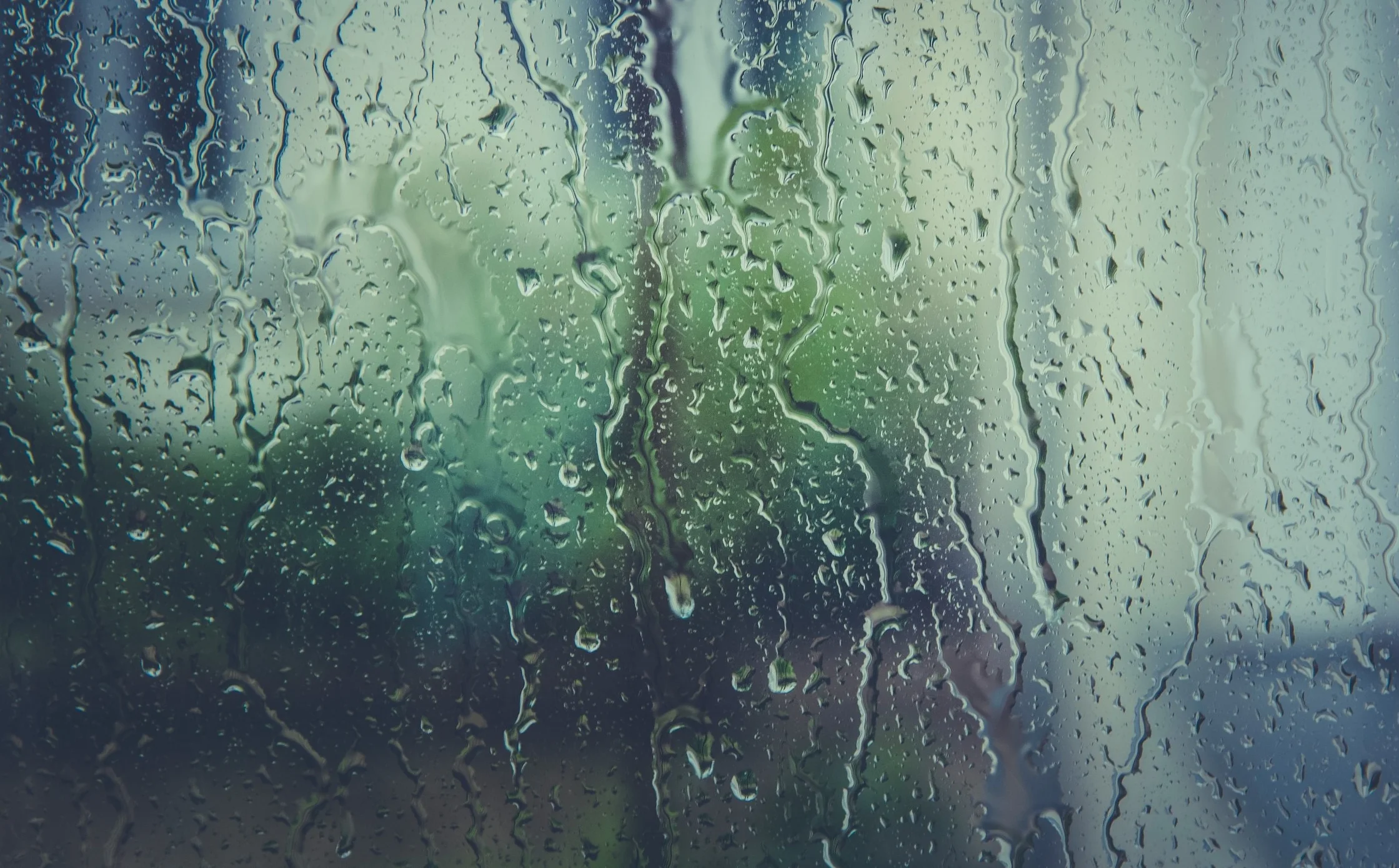 rain-raindrops-rainy-110874.jpg