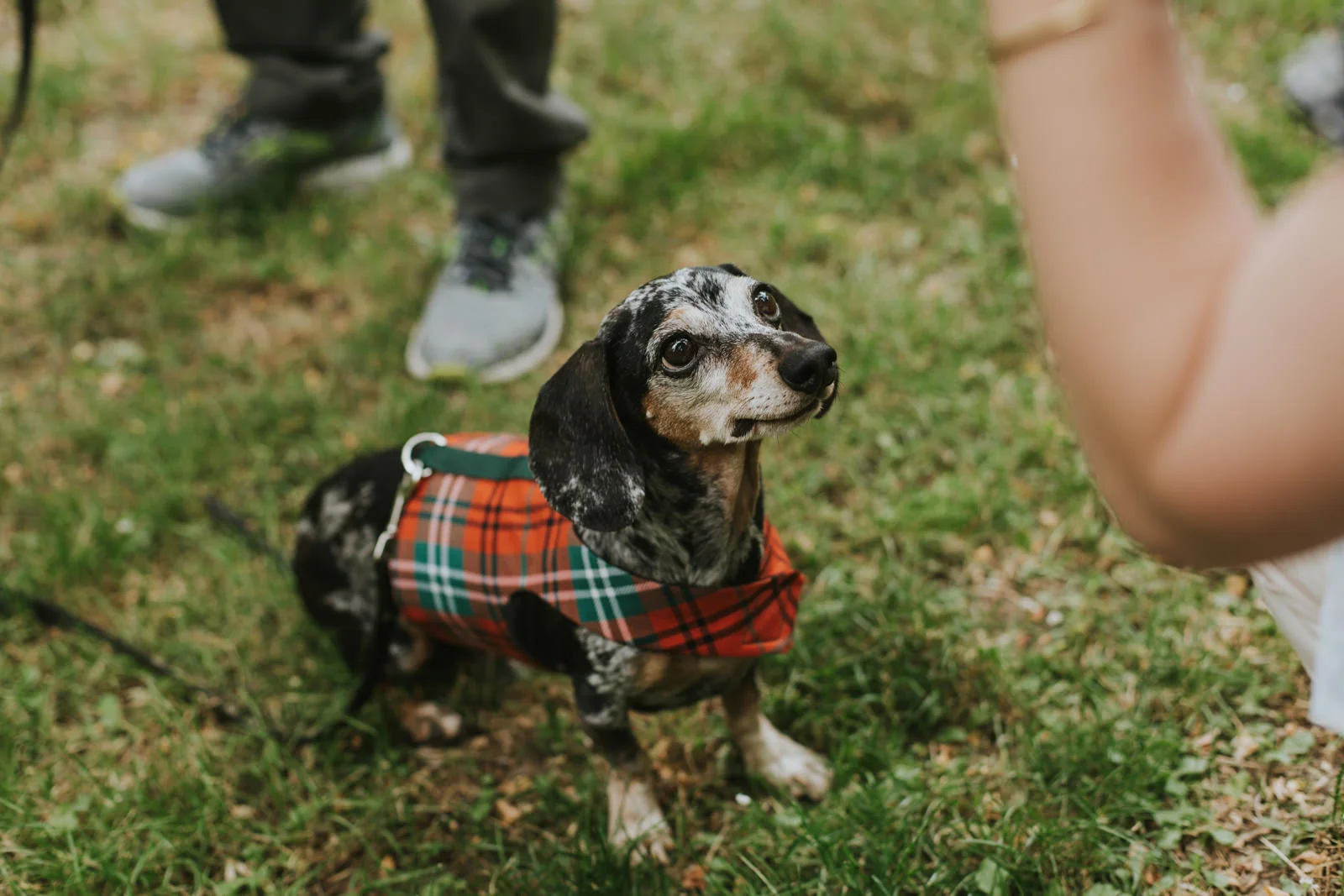 seattleportraitphotographer2.jpg