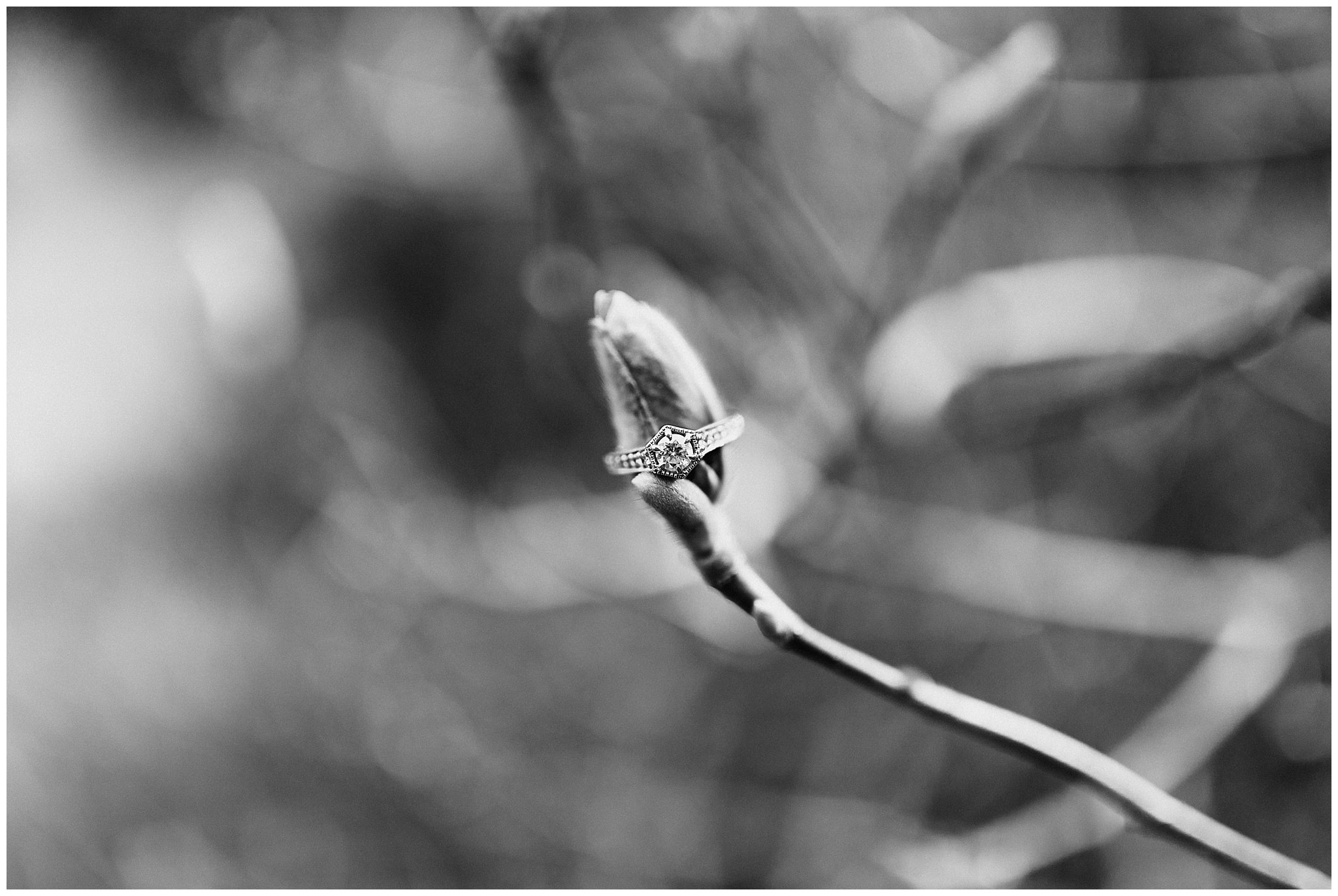 ann-eric-engagment10.jpg