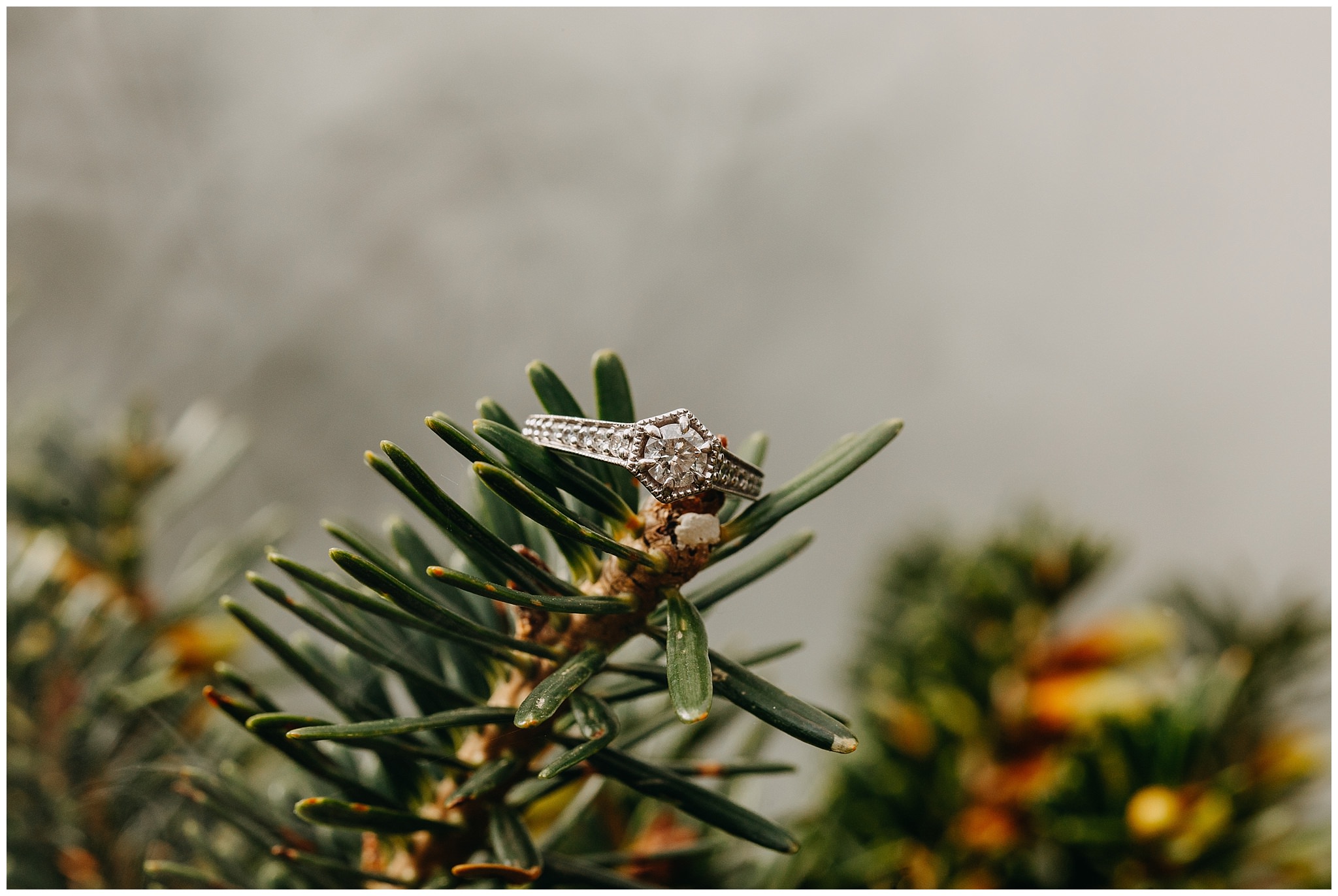 ann-eric-engagment17.jpg