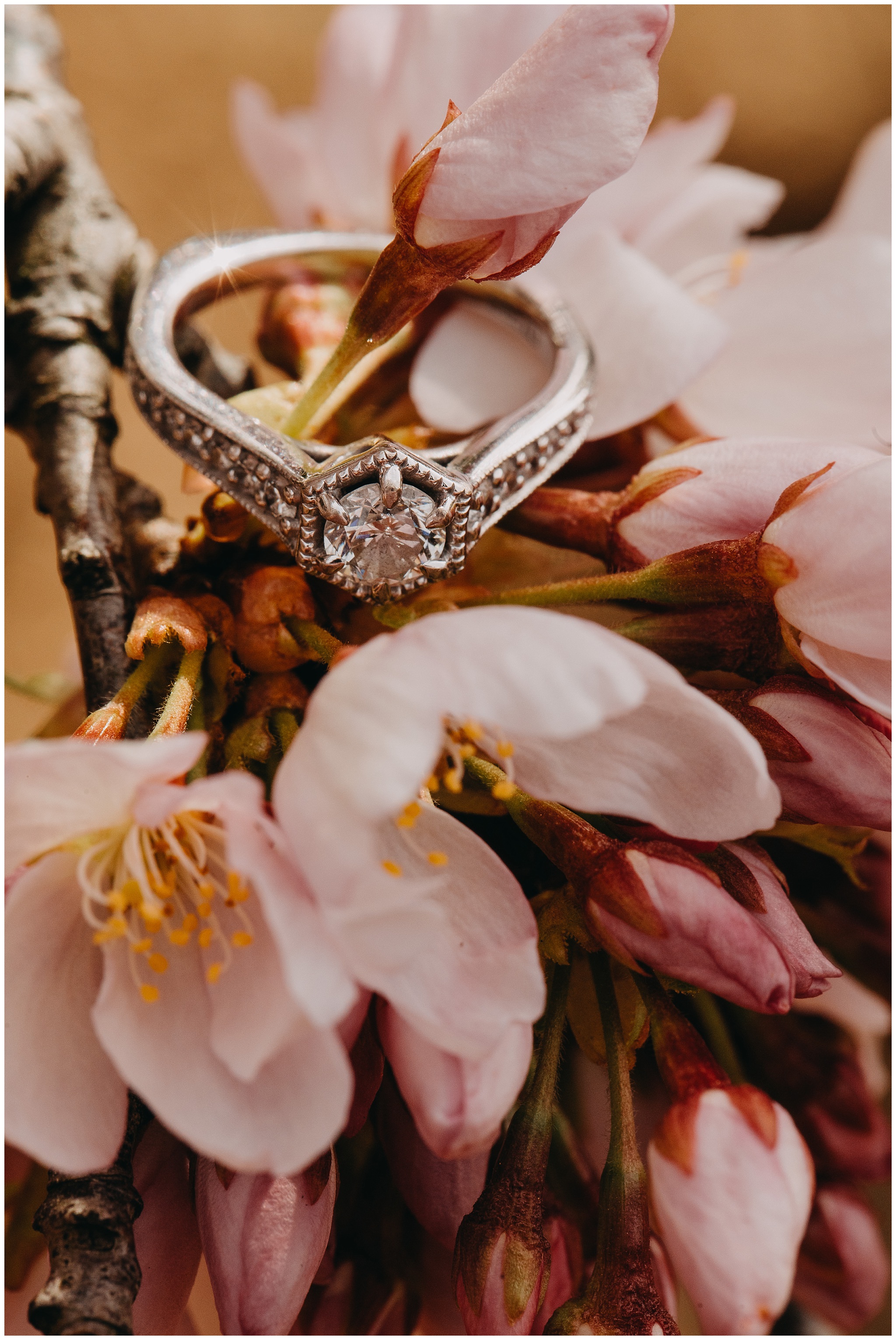 ann-eric-engagment22.jpg