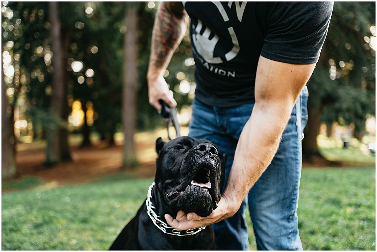 pitbull-puppy-bane-northacres-park-family-session16.jpg