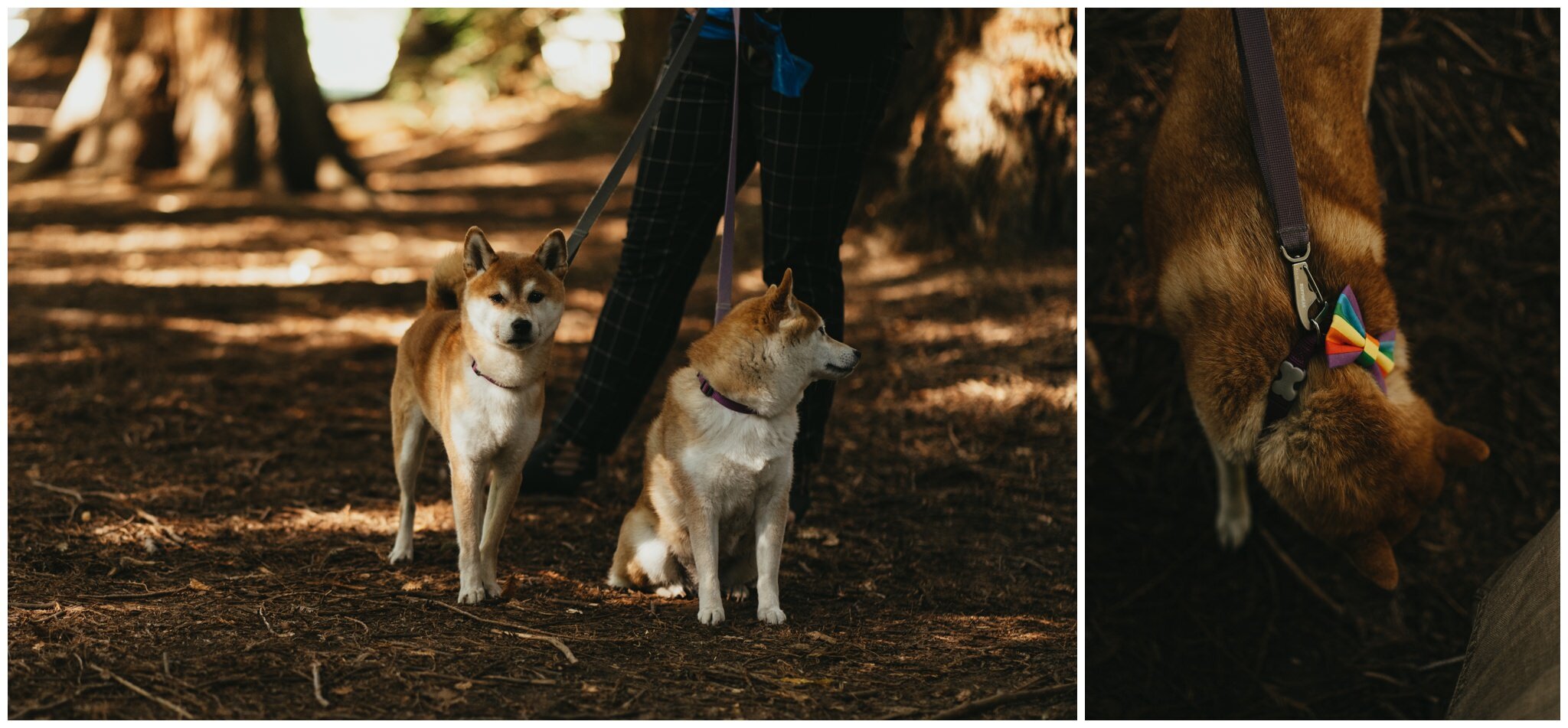 lincoln-park-west-seattle-elopement-wedding-heather-ryann-9.jpg