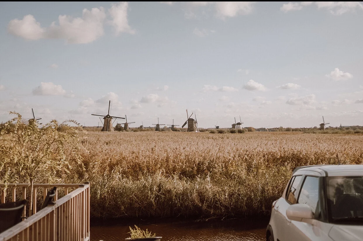 Благодарение и мир в сердце