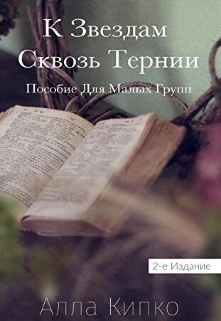к звездам.jpg