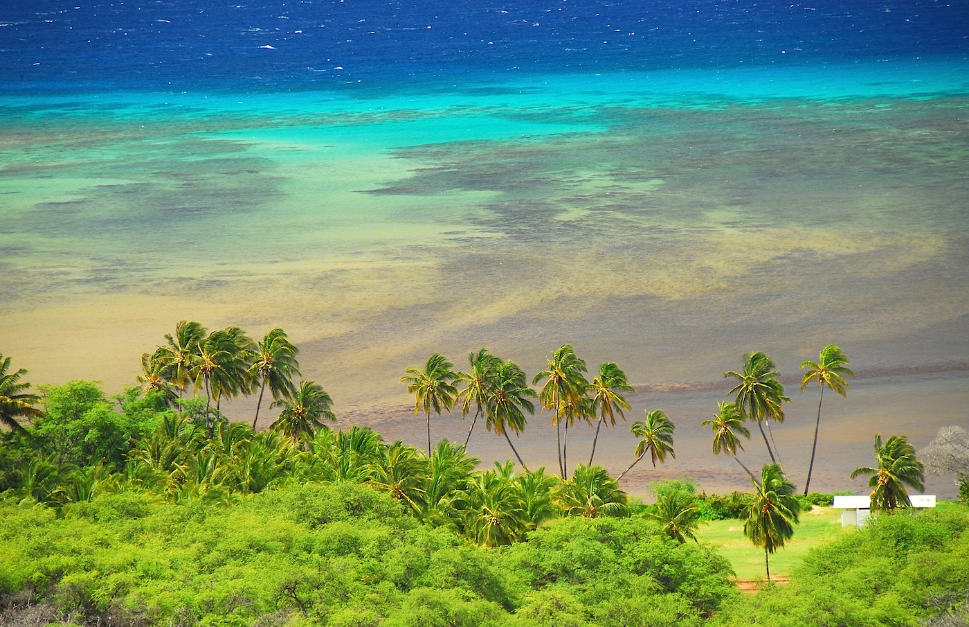 Hawaii-Reef-Molokai-Patrick-McNally.jpg