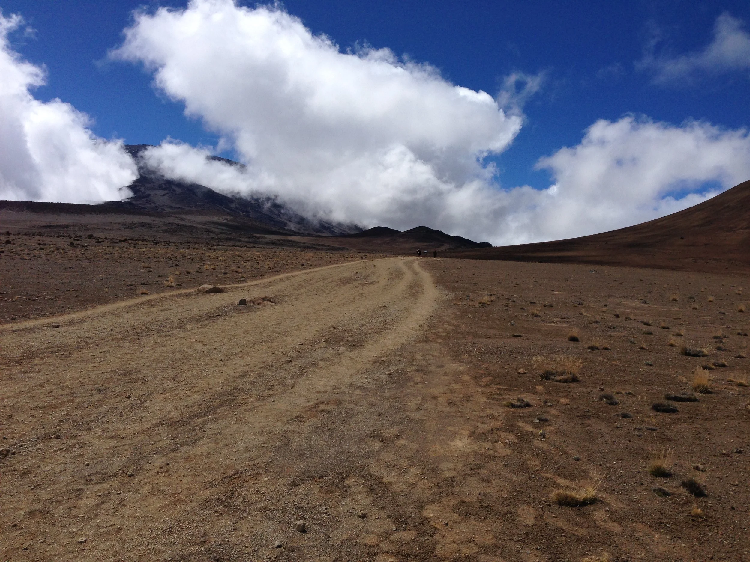 News Coverage of Mt Kilimanjaro Climb