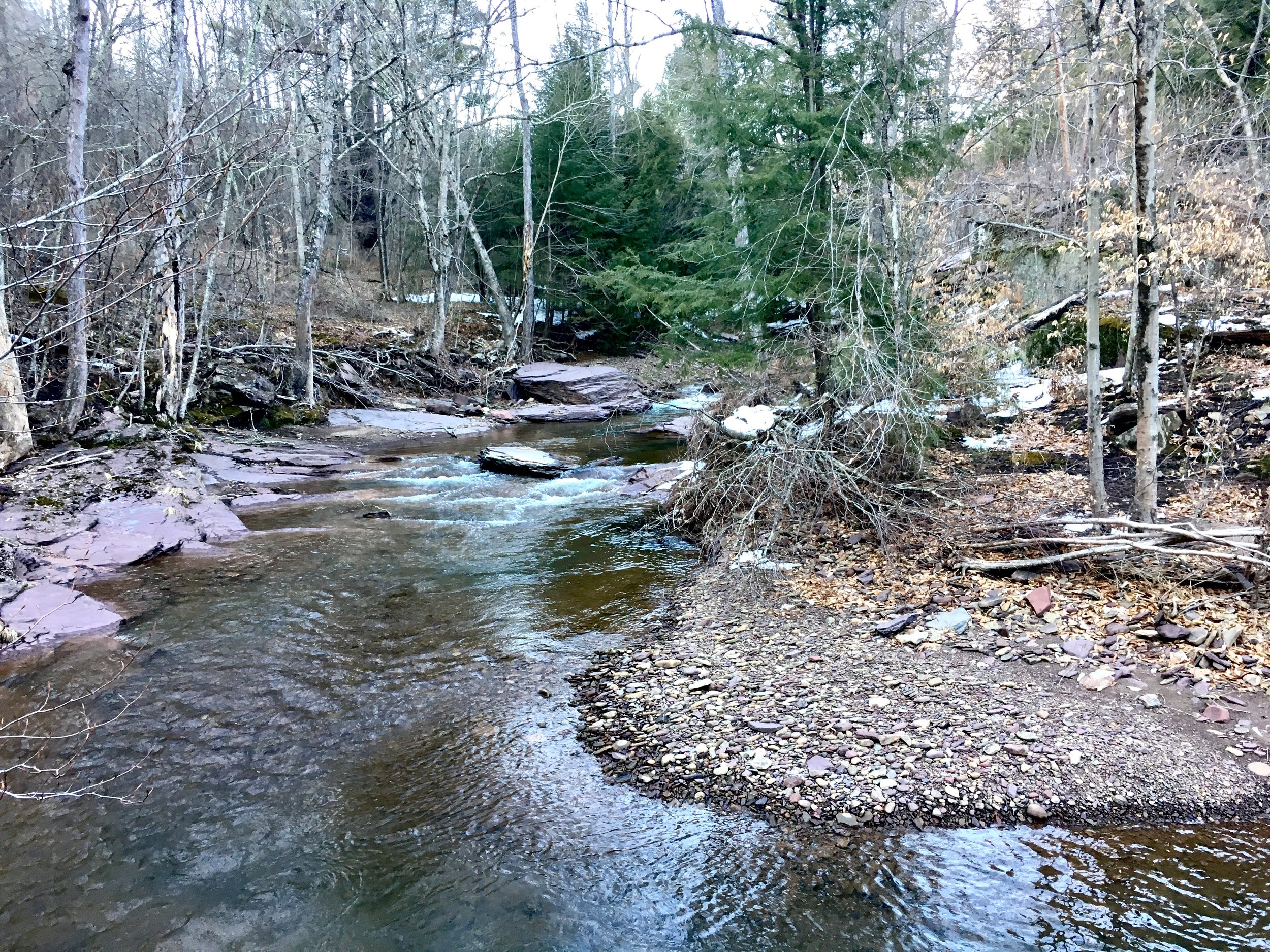 Loyalsock State Forest 3.jpg