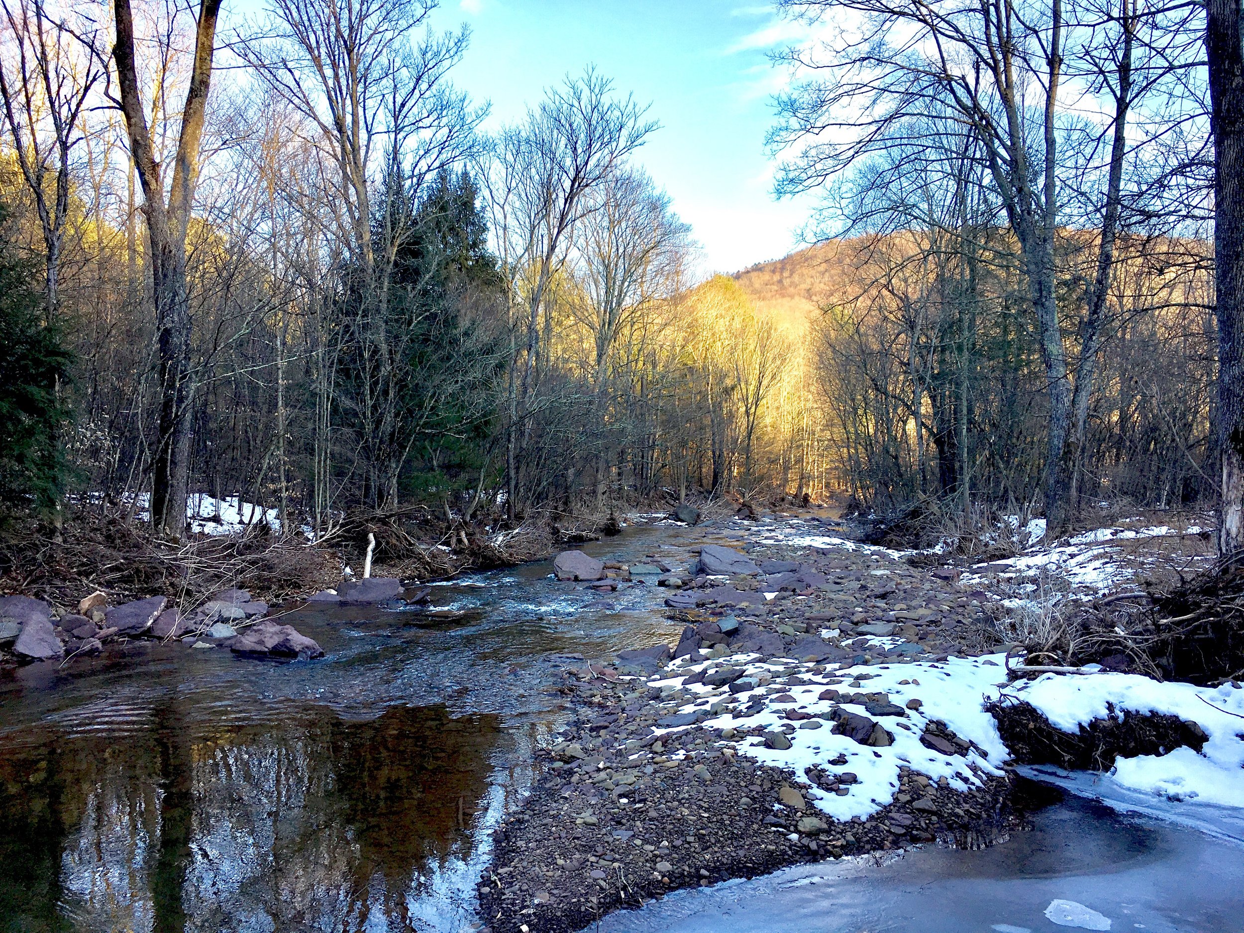 Loyalsock State Forest 4.jpg