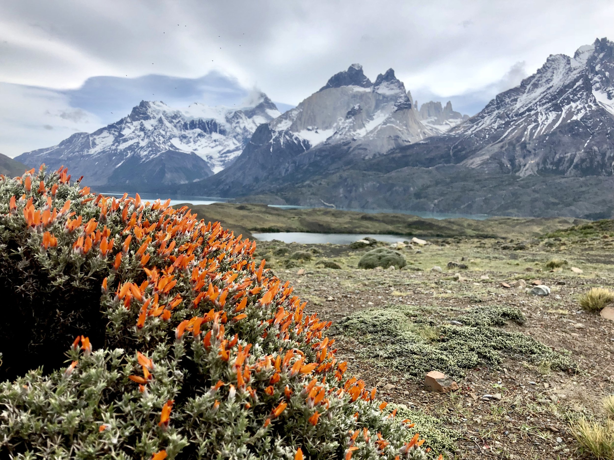 Chile - Patagonia