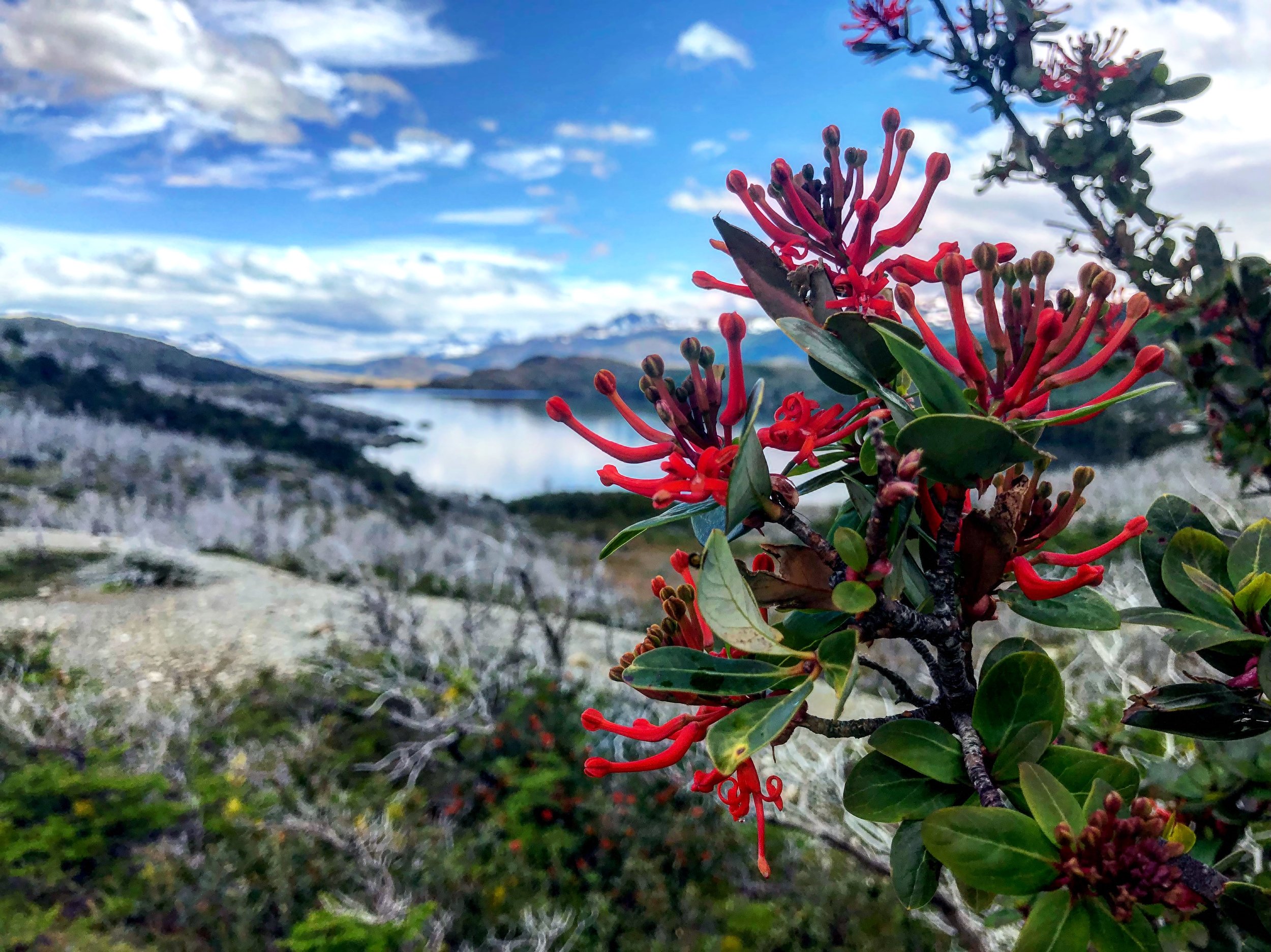 French Valley - Patagonia