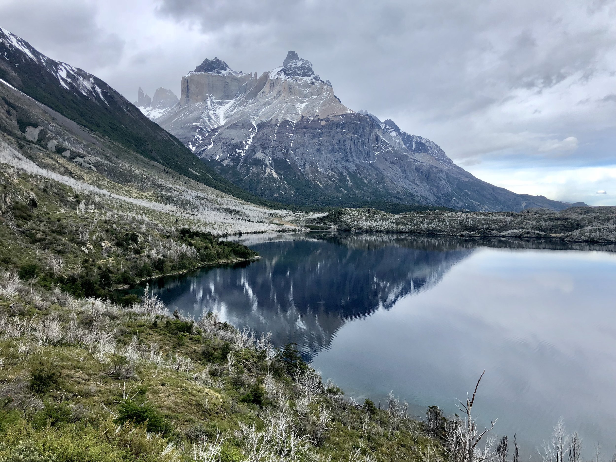 Lake reflection in Patagonia