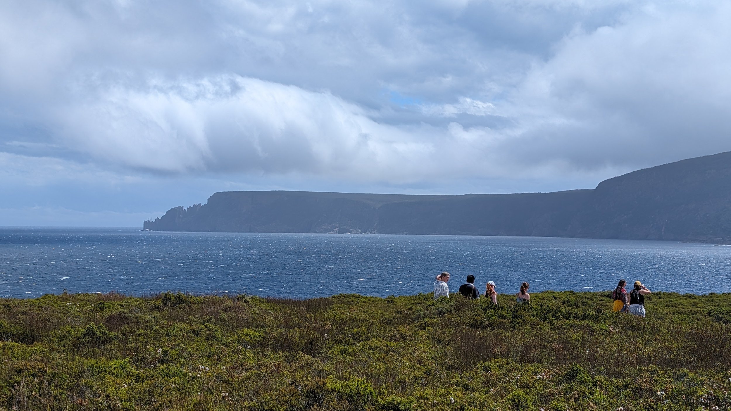 Crescent Bay Track.jpg