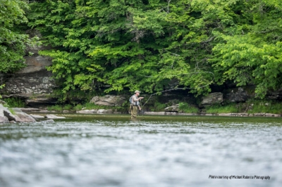 Photo courtesy of Michael Roberto Photography