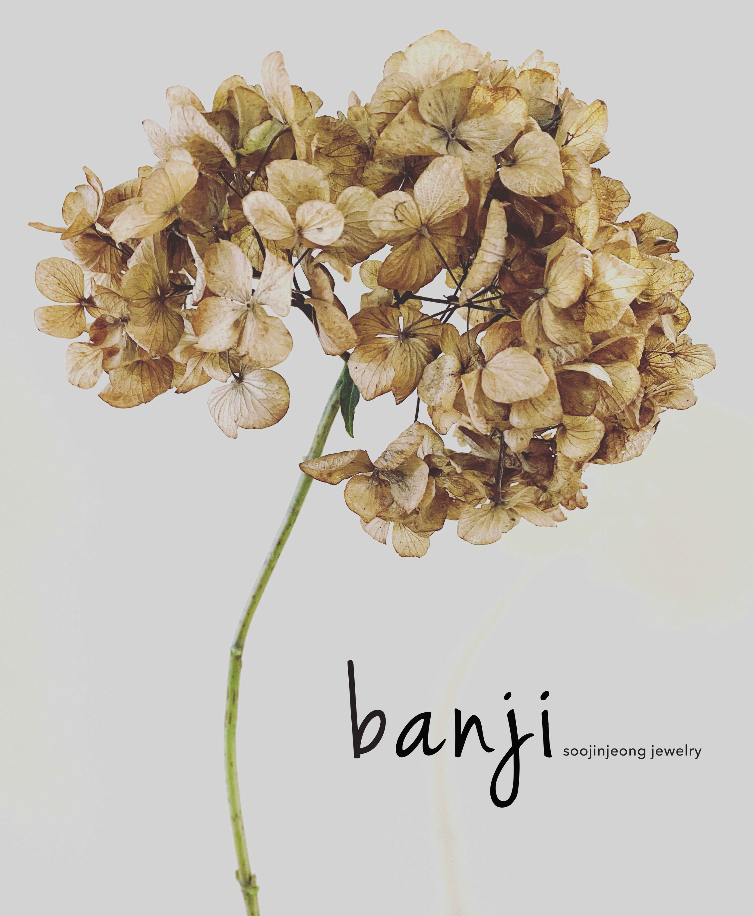 Banji References Banjiwork.com Homepage — banji
