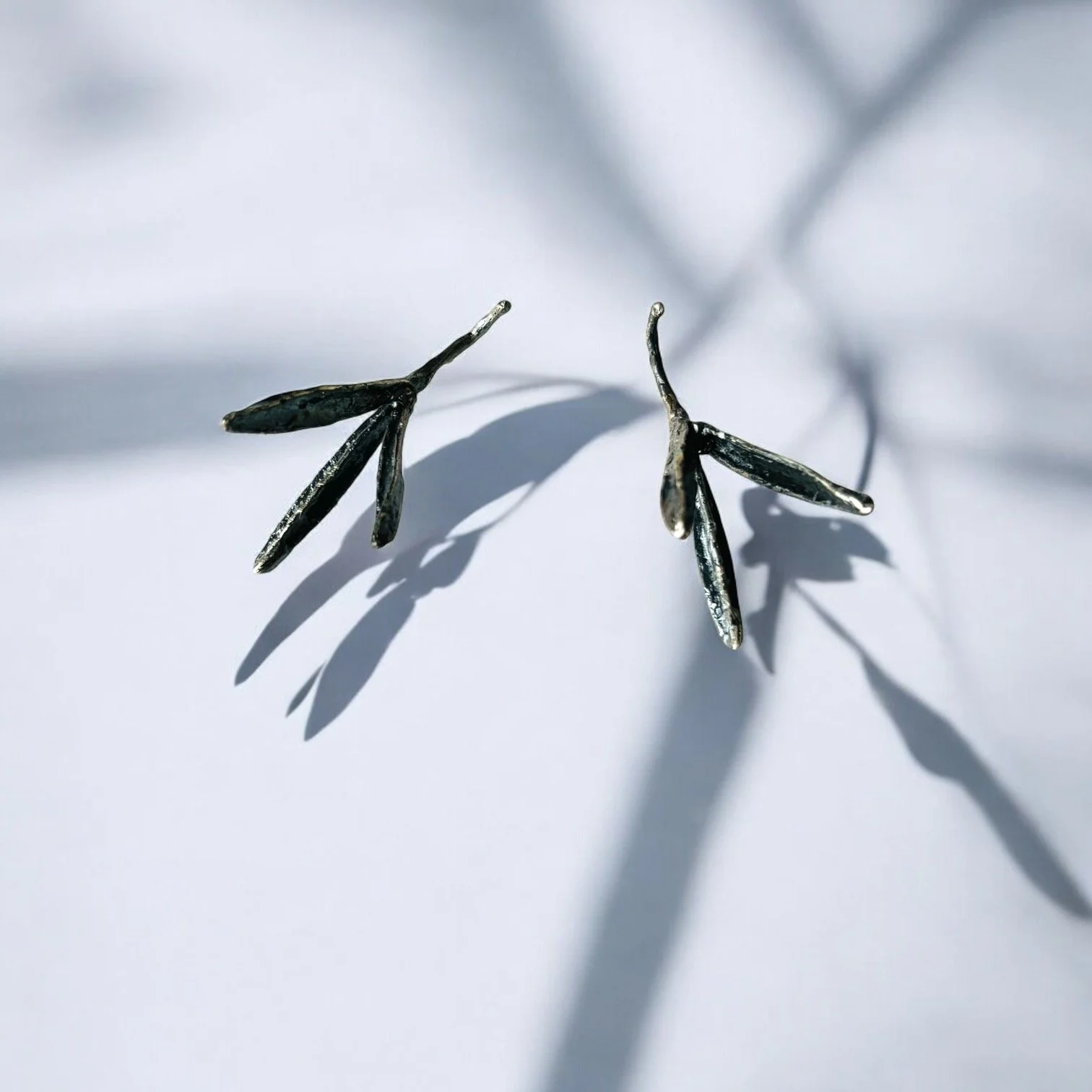 Seedpods Sterling Oxi 3.JPG