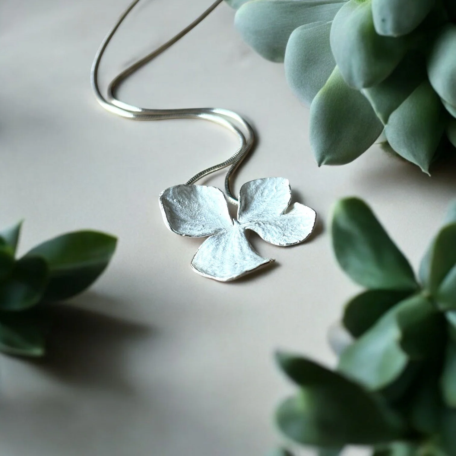 10.Frosted Bloom1.JPG