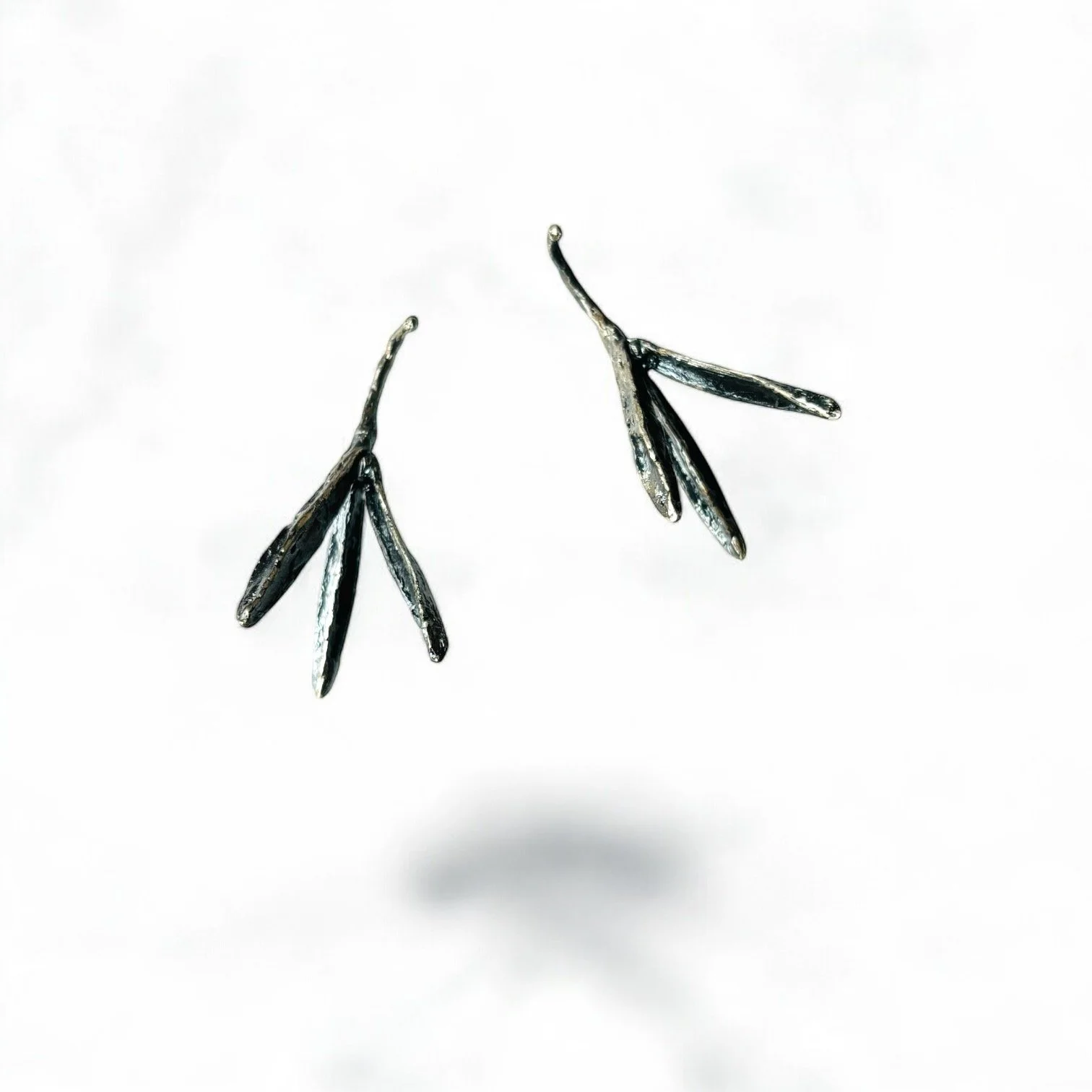 Seedpods Sterling Oxi 1.JPG