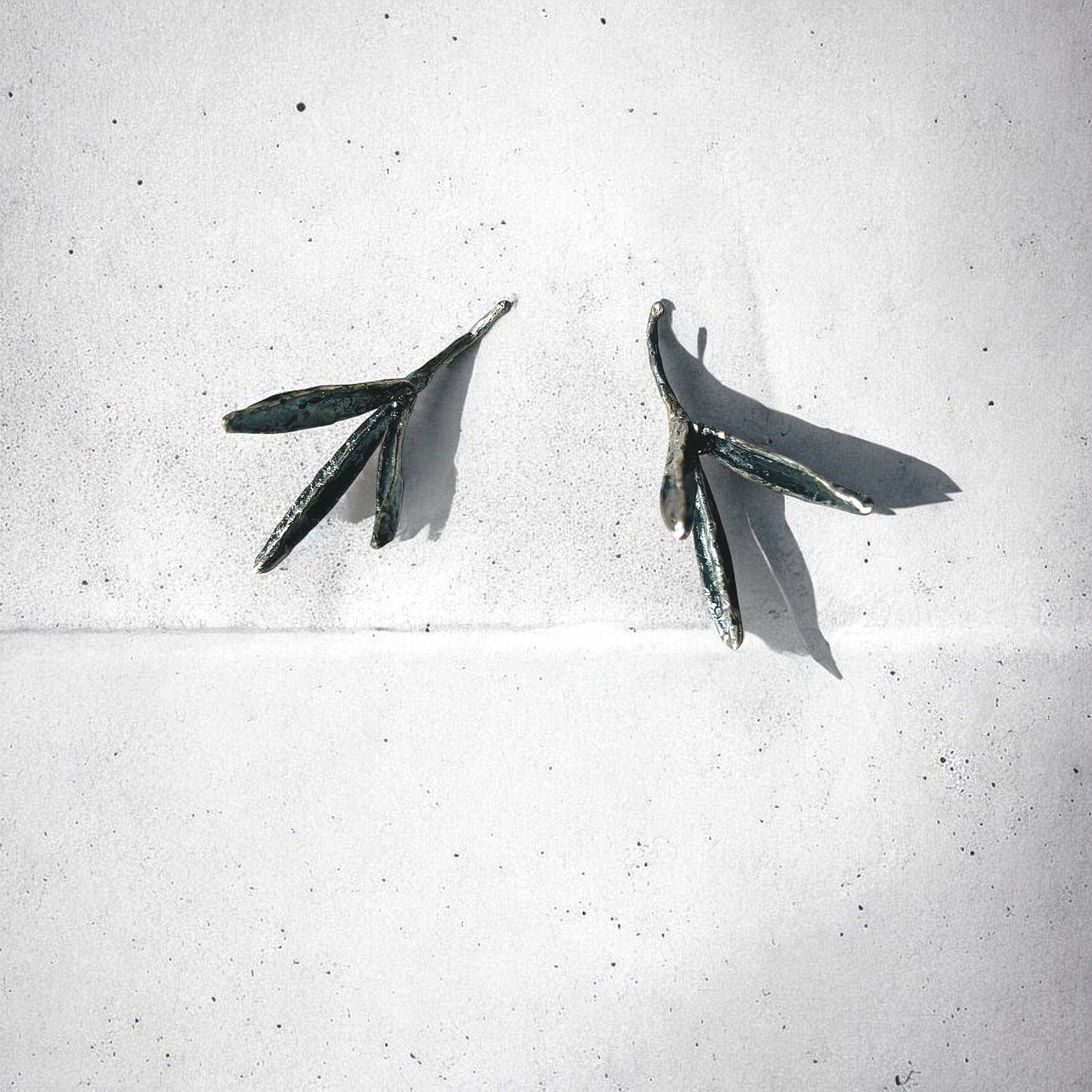 Seedpods+Sterling+Oxi+2.jpg