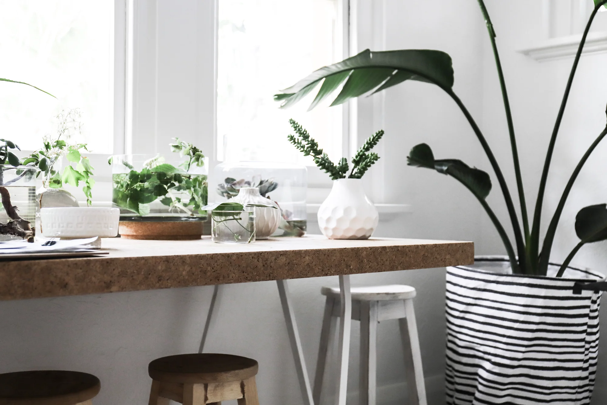 The Apartment St Kilda by Lynda Gardener