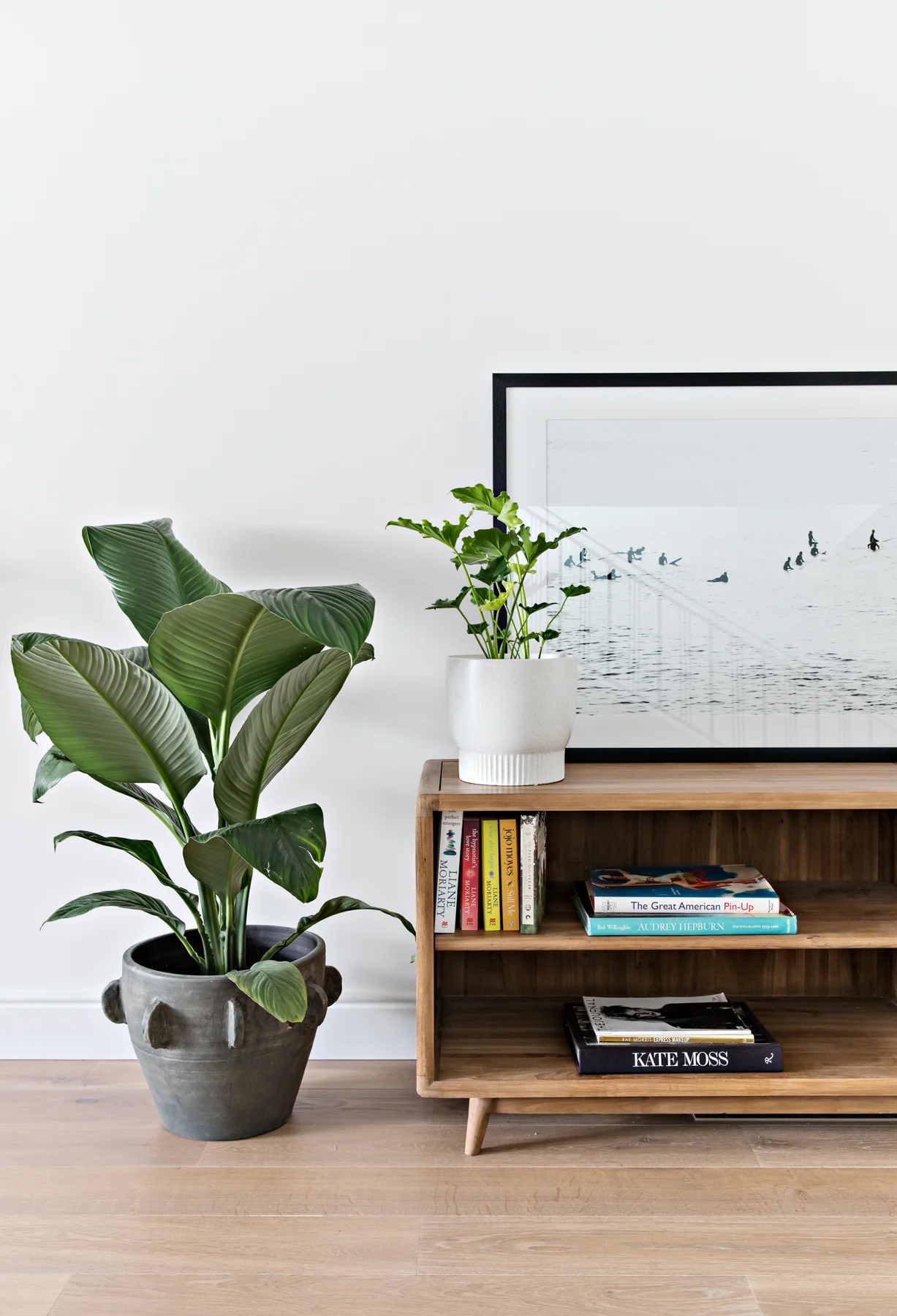 Zanui-Samantha Jade high res-1.jpg