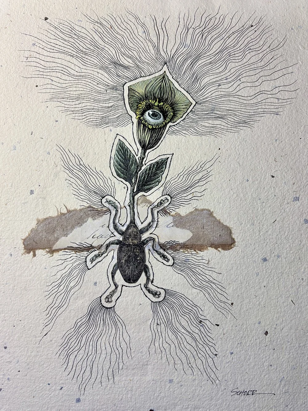 Mirage 6 - Beetle Eye is a mixed media collage drawing by NC artist Natalie Schorr