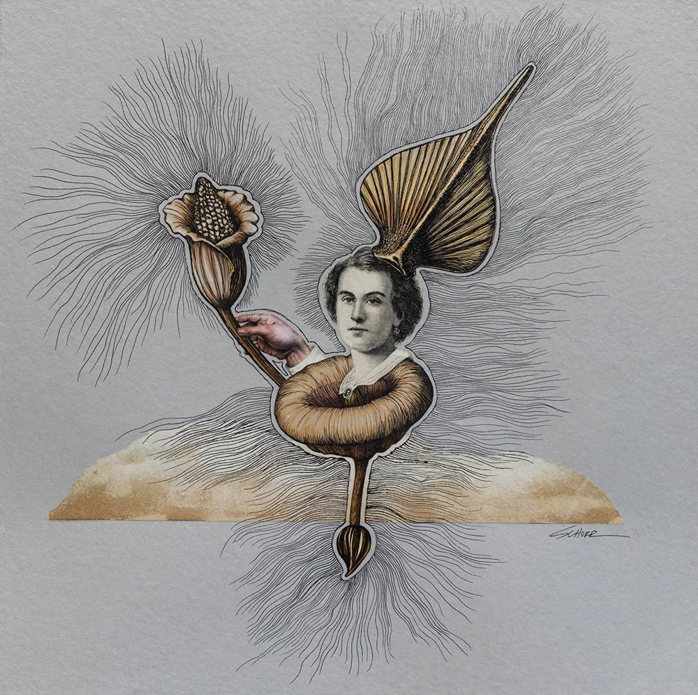 Desert Rose is an analog mixed media collage by North Carolina artist Natalie Schorr.