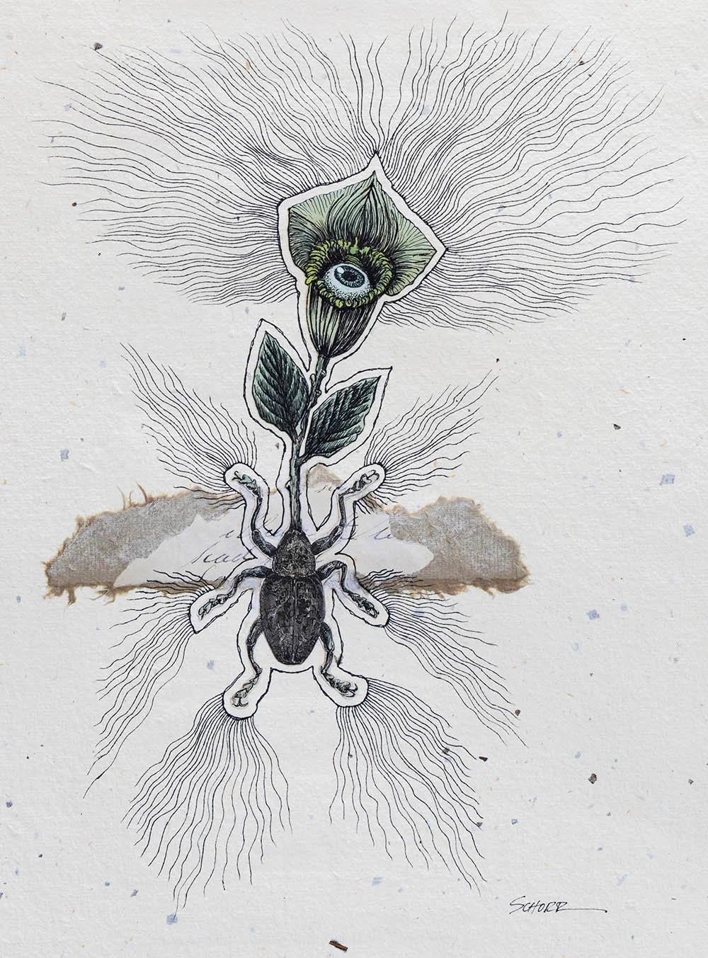 Gaze is a mixed media analog collage and drawing by North Carolina artist Natalie Schorr.