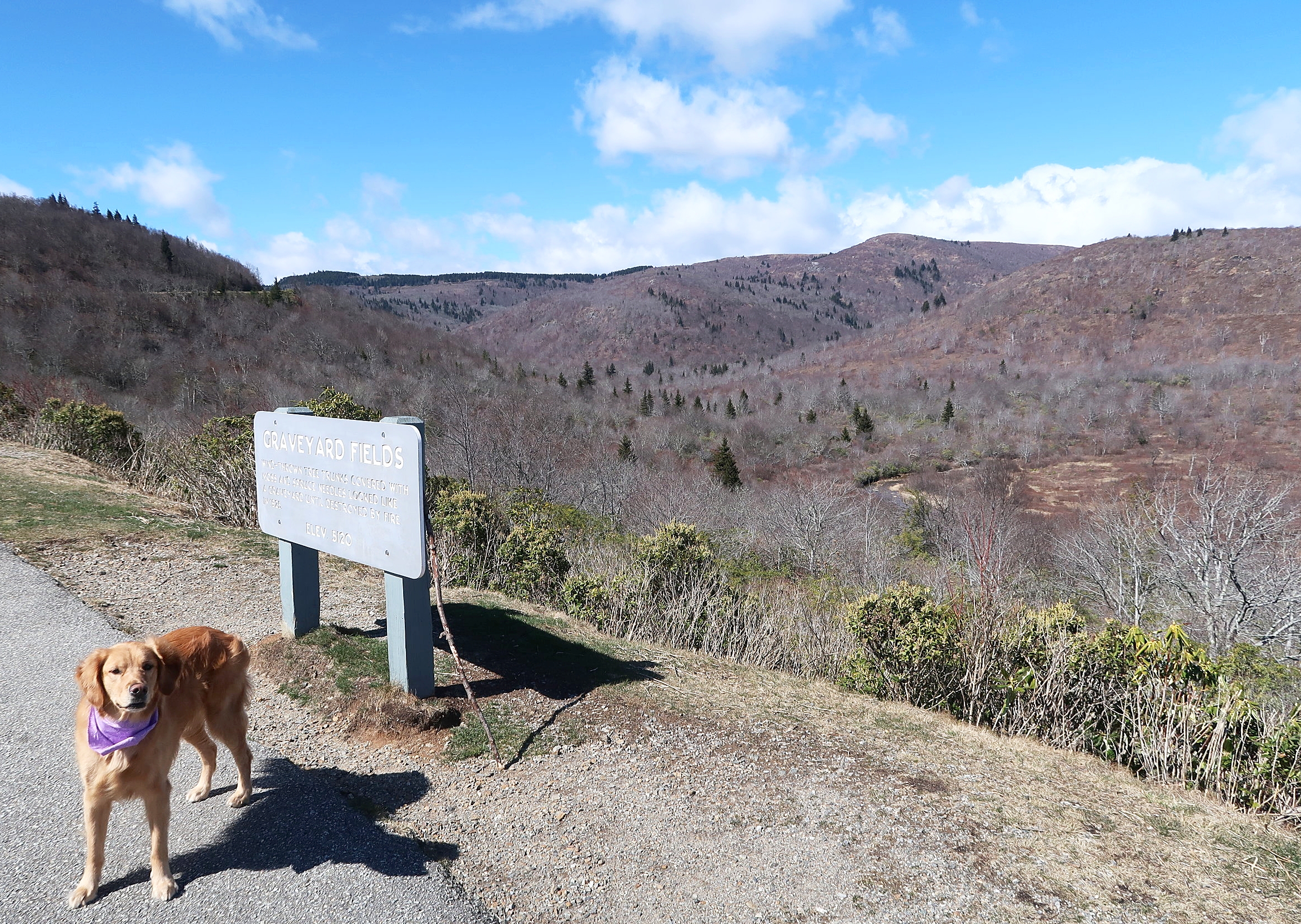 Summer, ready for our hike at Graveyard Fields