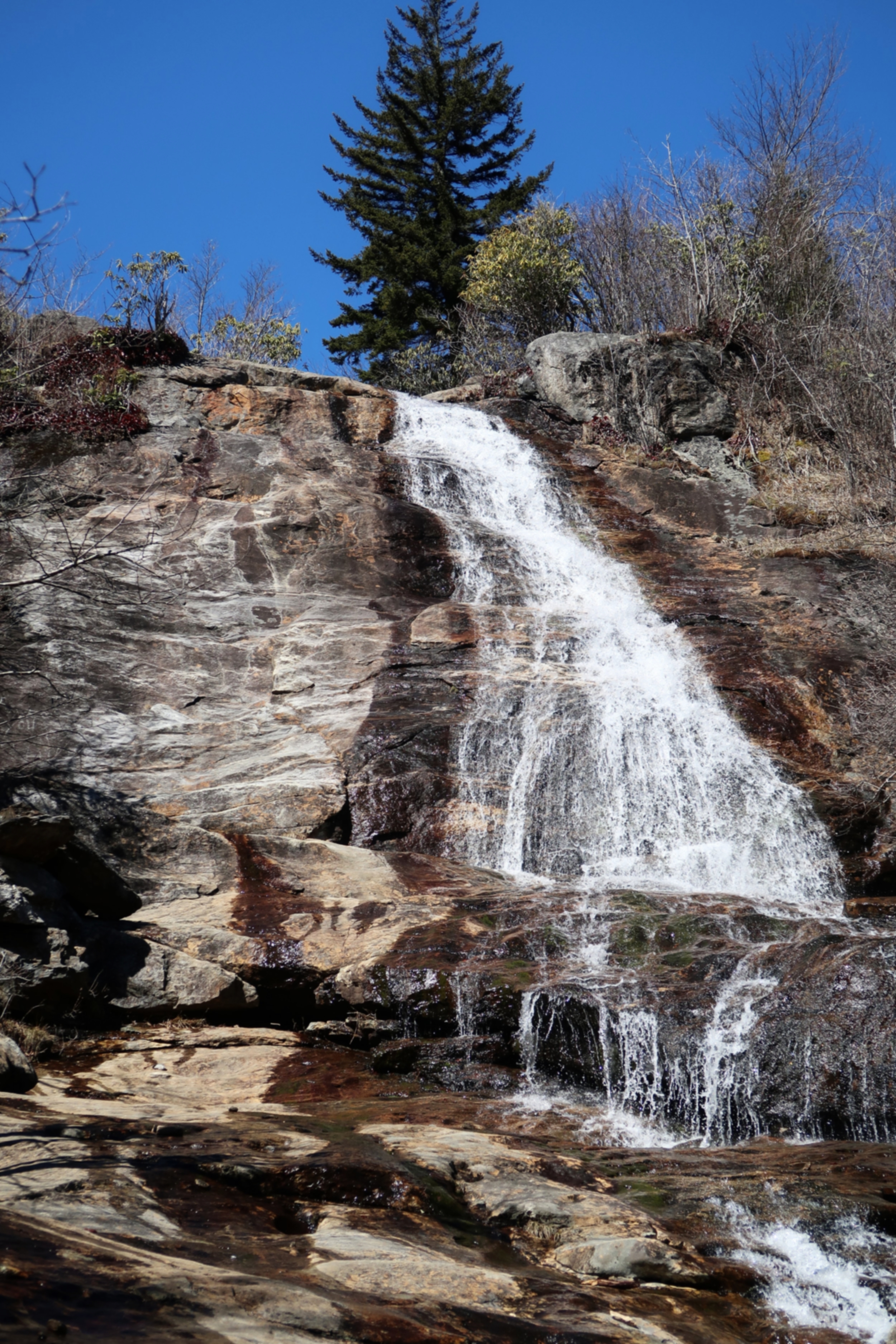 The Upper Falls at Graveyard Fields