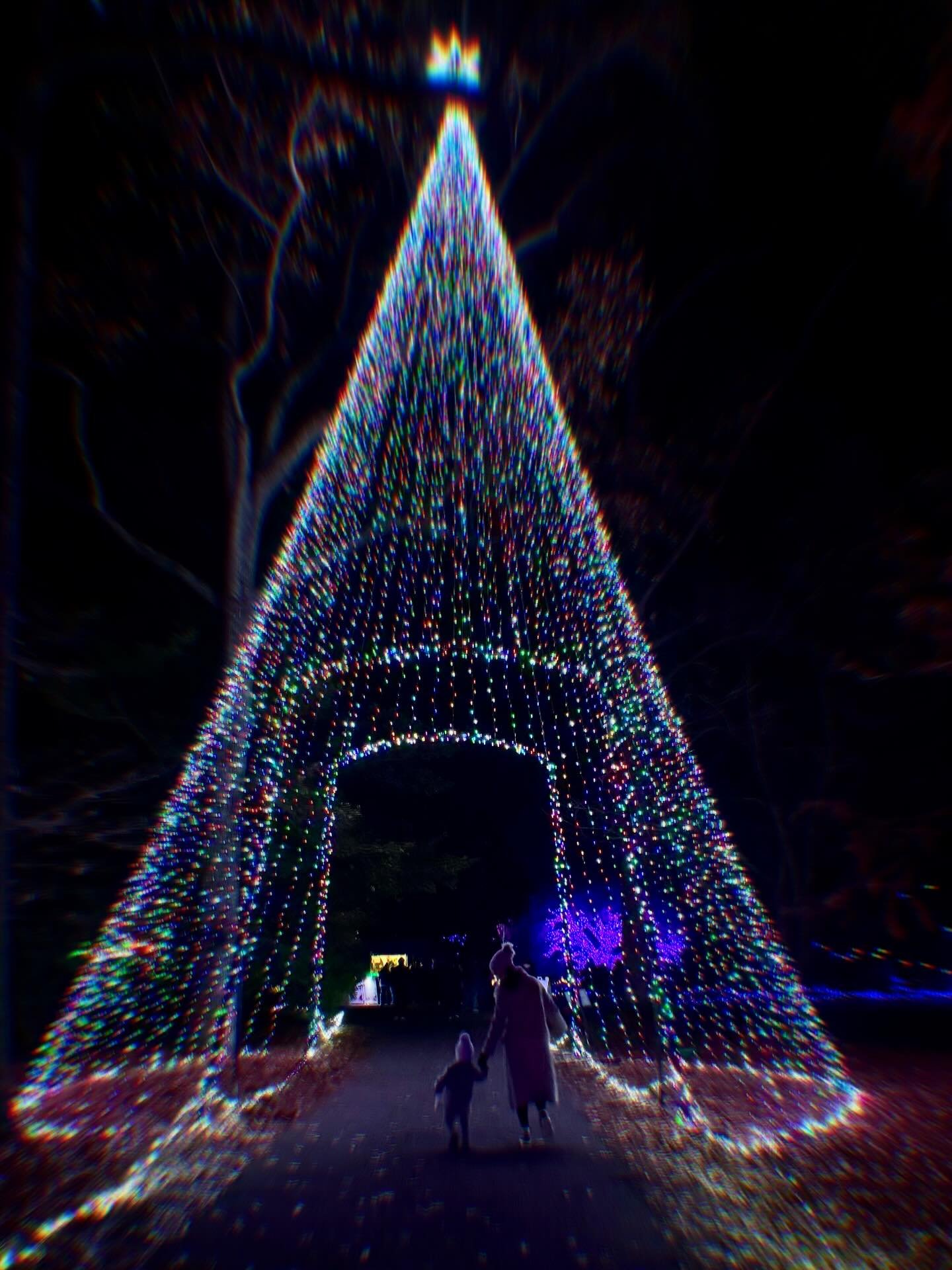 It was all a blur.
It was nothing but magic. 💫