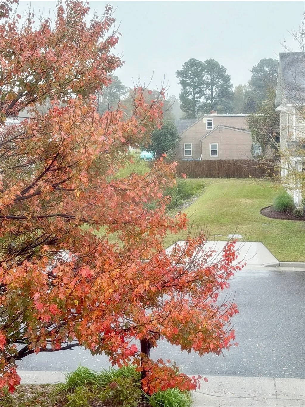 Seasons change 🍂
Thankful for what remains 🤍