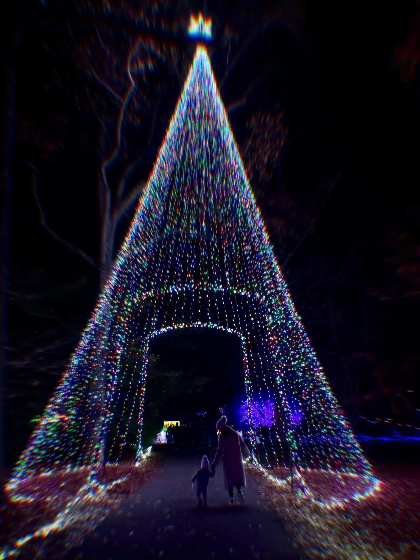 It was all a blur.
It was nothing but magic. 💫