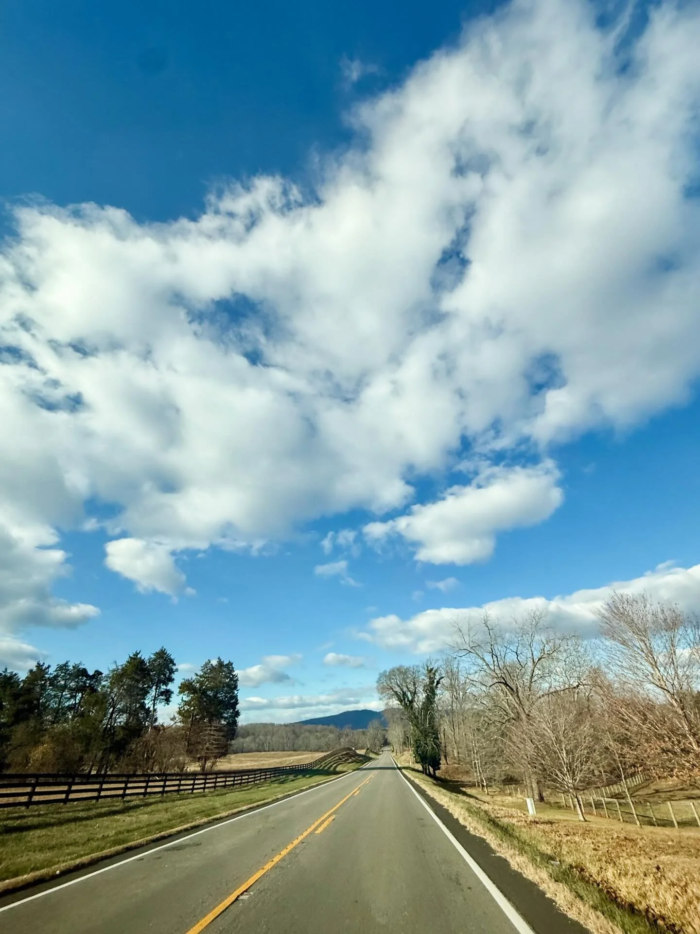 Turns out there&rsquo;s not much that country roads, farm animals, long hikes and a little Buc-ee&rsquo;s can&rsquo;t make infinitely better. 🫶🏼