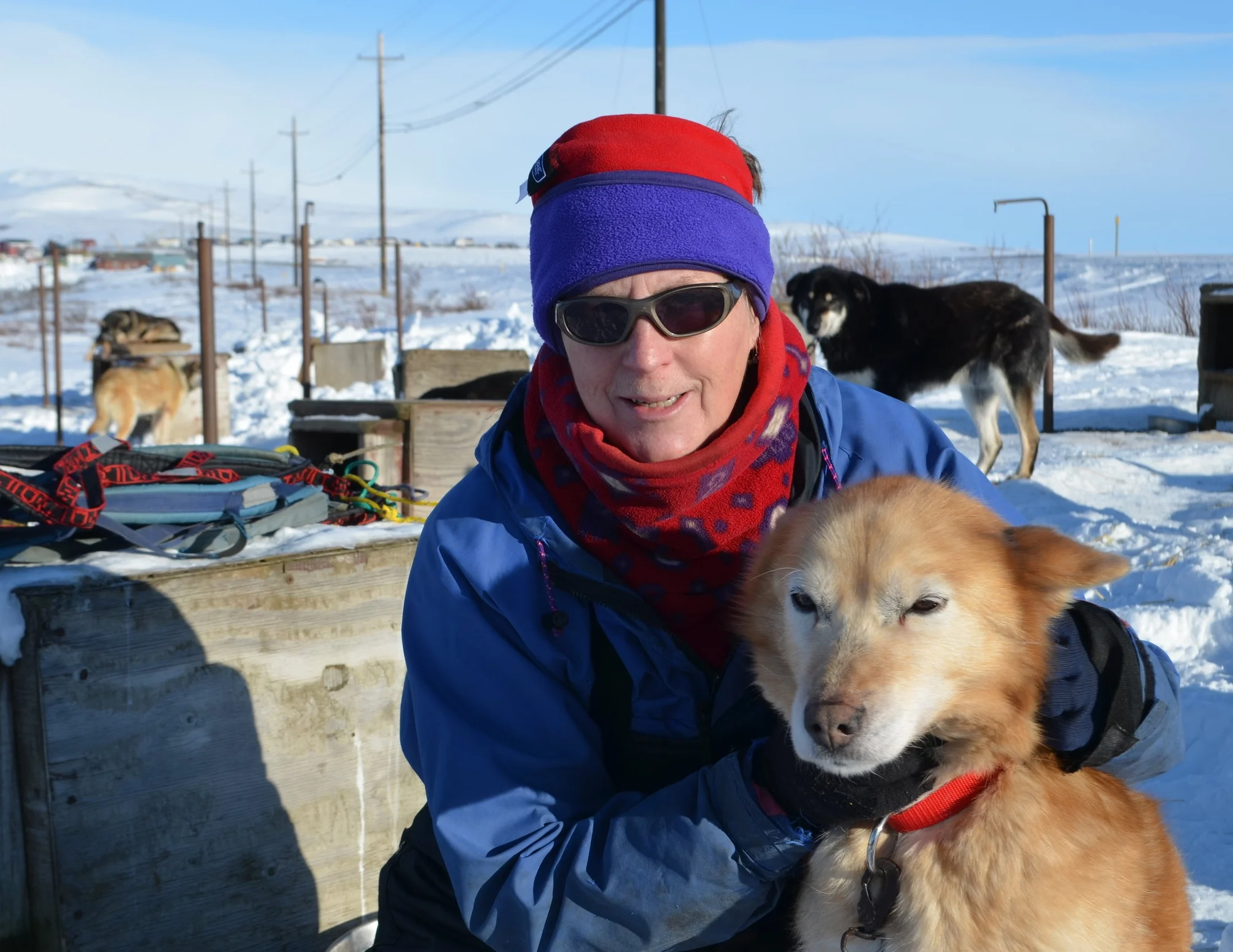 Bey in her dog yard just north of downtown Nome, with the Icy View neighborhood and the Kigluiak foothills in the distance.