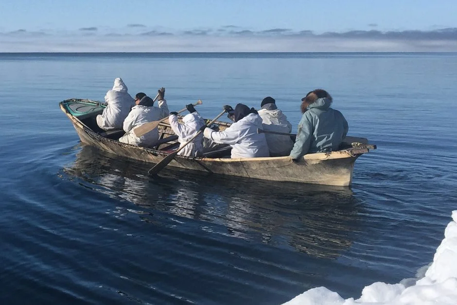 A whaling crew paddles out on a spring whaling hunt near Barrow on the northern coast of Alaska on May 6, 2015. From: https://whalesandmarinefauna.wordpress.com/2015/05/31/alaskas-spring-whaling-season-a-success-despite-challenging-sea-ice-usa/