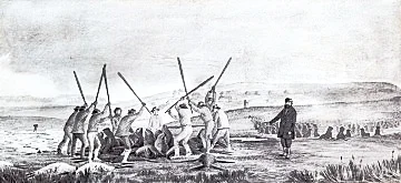 The Alaska Fur Trade