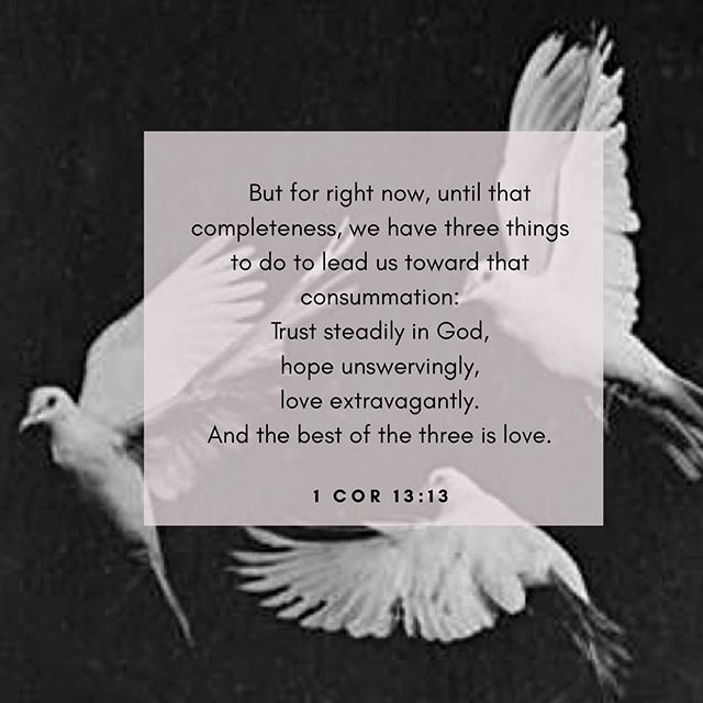 .
TRUST STEADILY
HOPE UNSWERVINGLY 
LOVE EXTRAVAGANTLY  #undivided #unveiled #unashamed #the31intiative #community