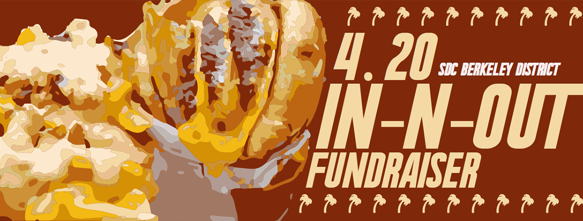sdc_fundraiser.png