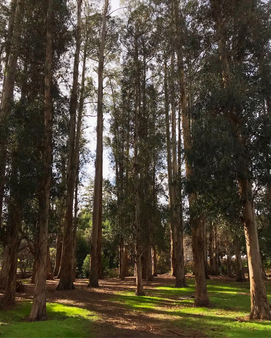 green3.jpg