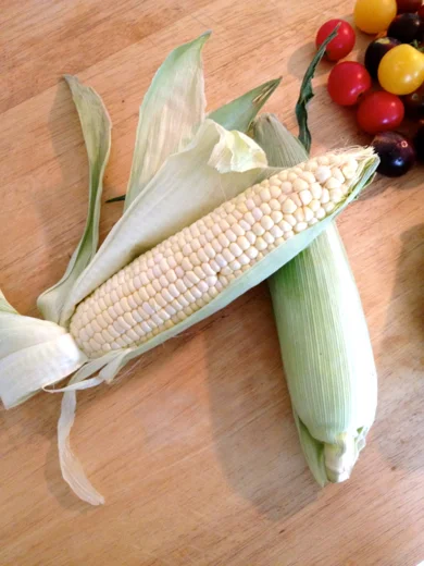 Sweet Summer "Succotash"