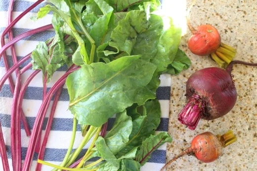 Beets and Their Greens