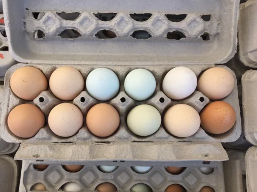Frittata.jpg