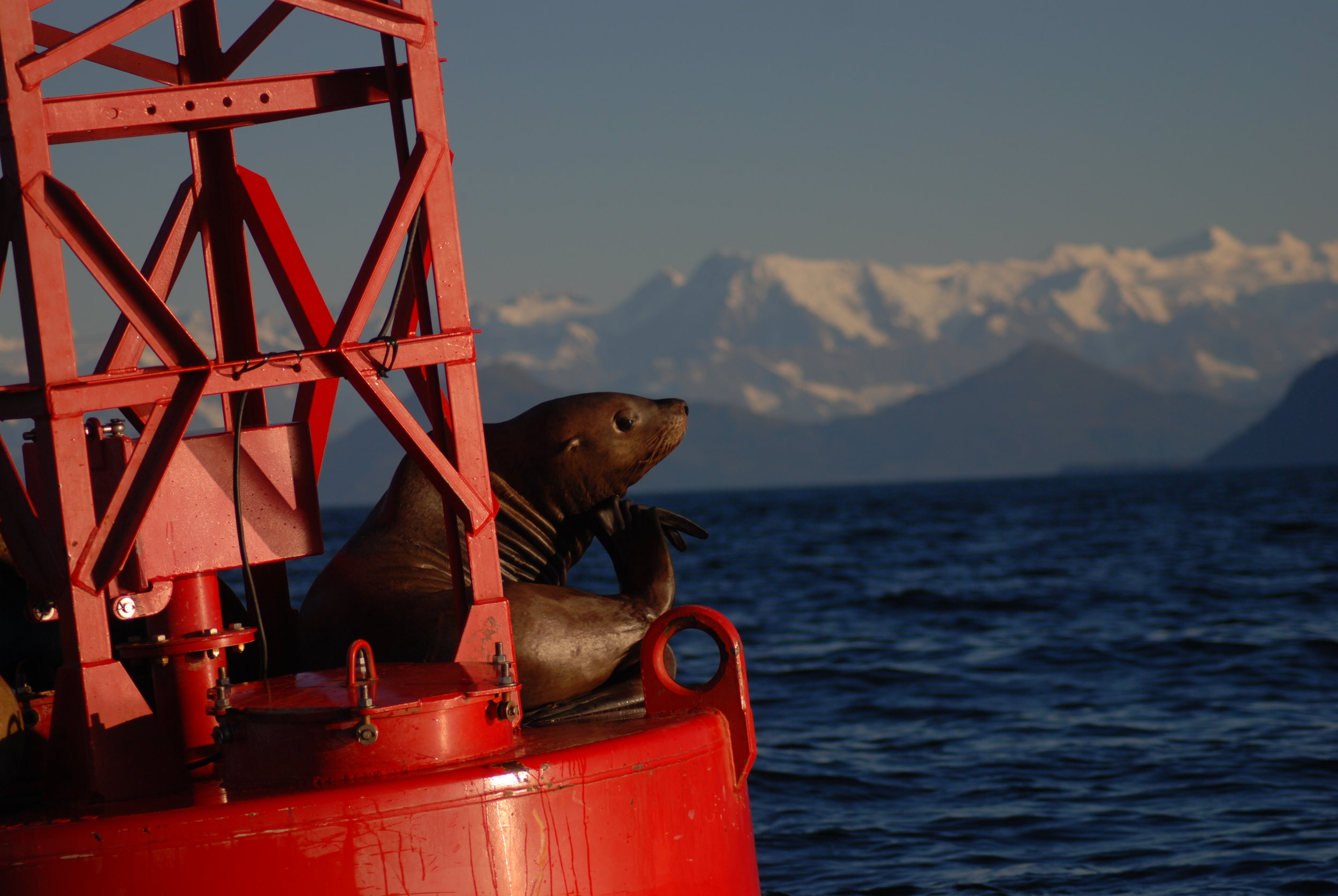 DSC_0185.JPG